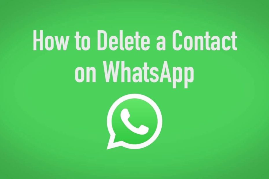 delete contacts from whatsapp