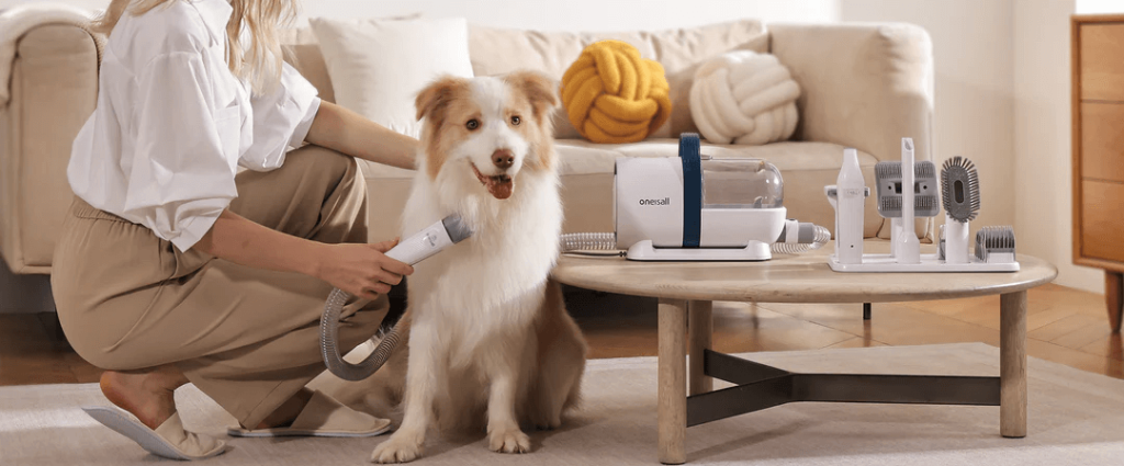 How to Make Grooming a Positive Experience for Your Dog