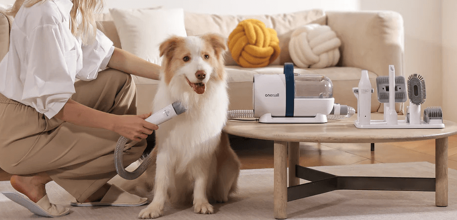 How to Make Grooming a Positive Experience for Your Dog